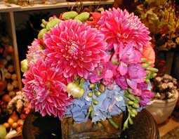 Dahlia with Hydrangea