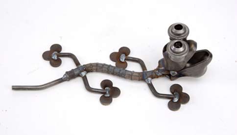Salamander