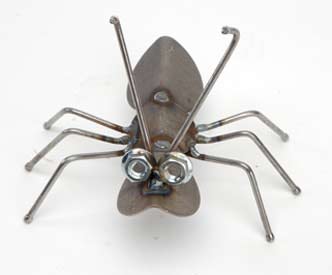 Ant